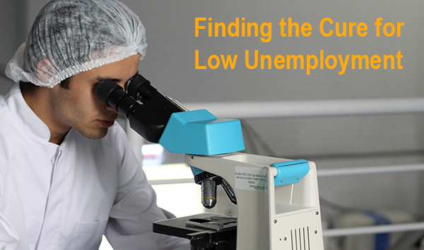 Finding the Cure for Low Unemployment